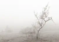 verhüllt und doch sichtbar